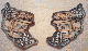 photos-10.jpg